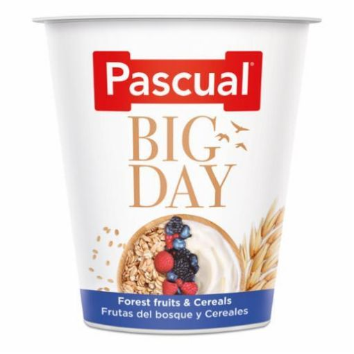Pascual Big Day Fruit of Forest Cereals (125g) Spain