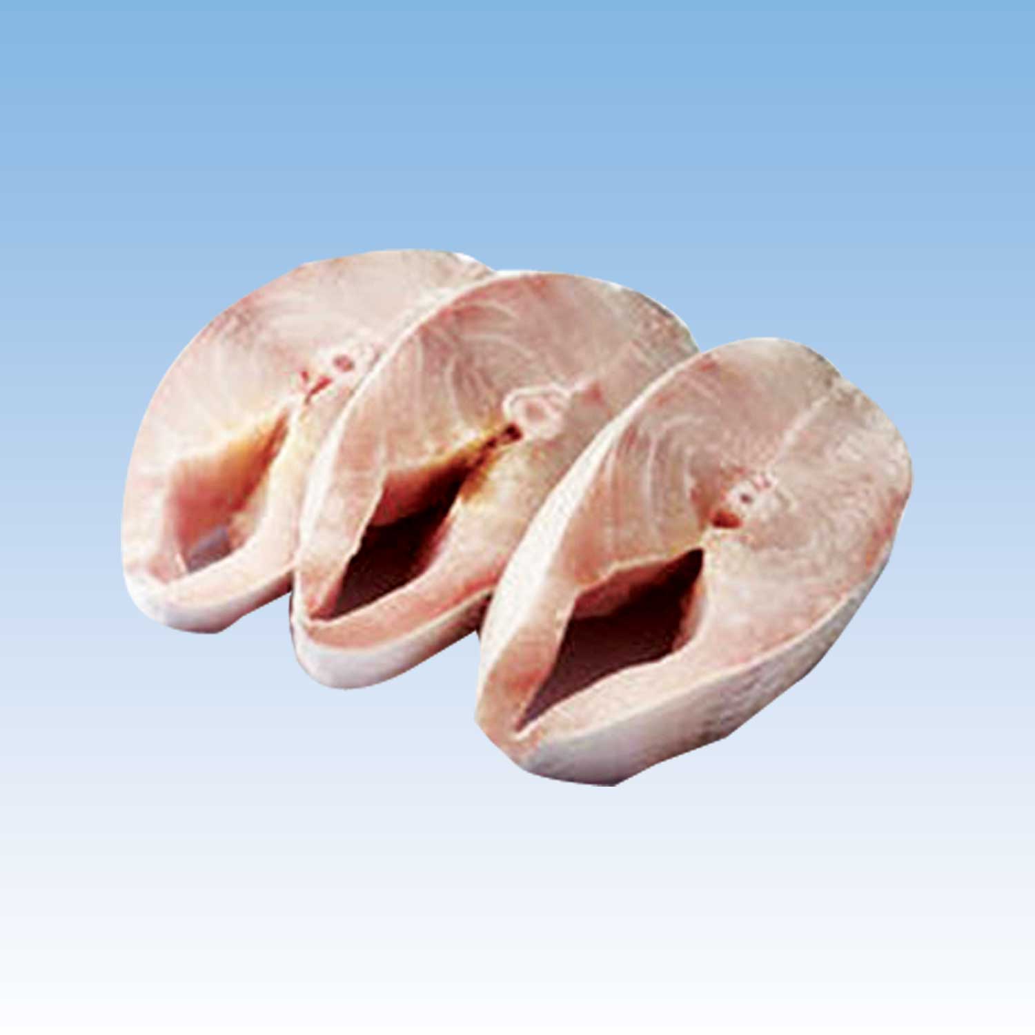 Mrigal Cut Piece 500g Own Farmed Fish