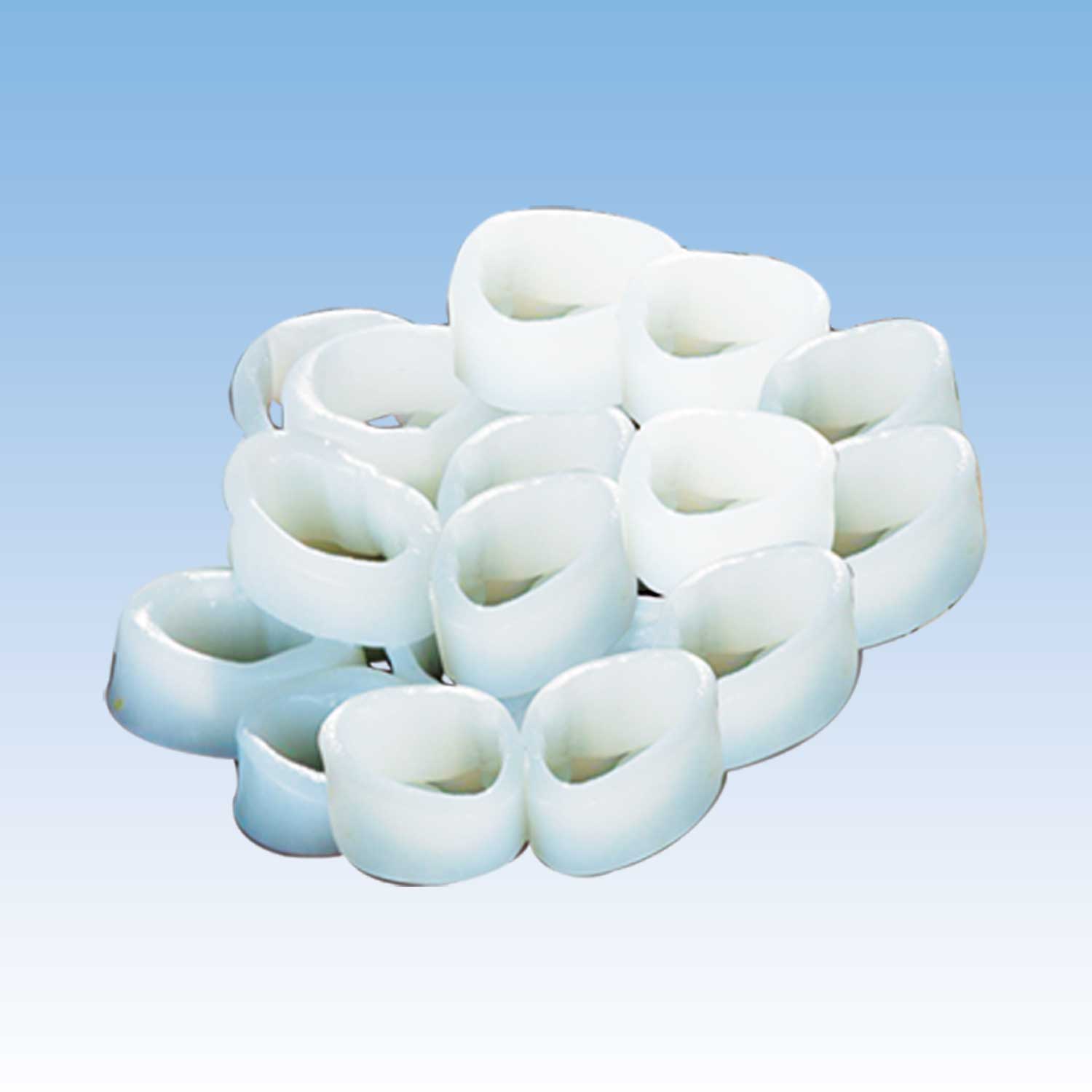Squid Ring 300g~1kg Natural Caught
