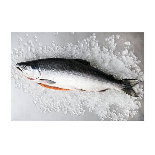 Salmon-Whole