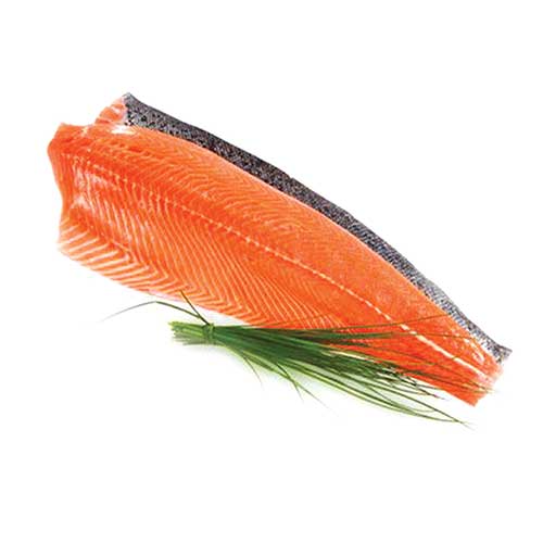 salmon