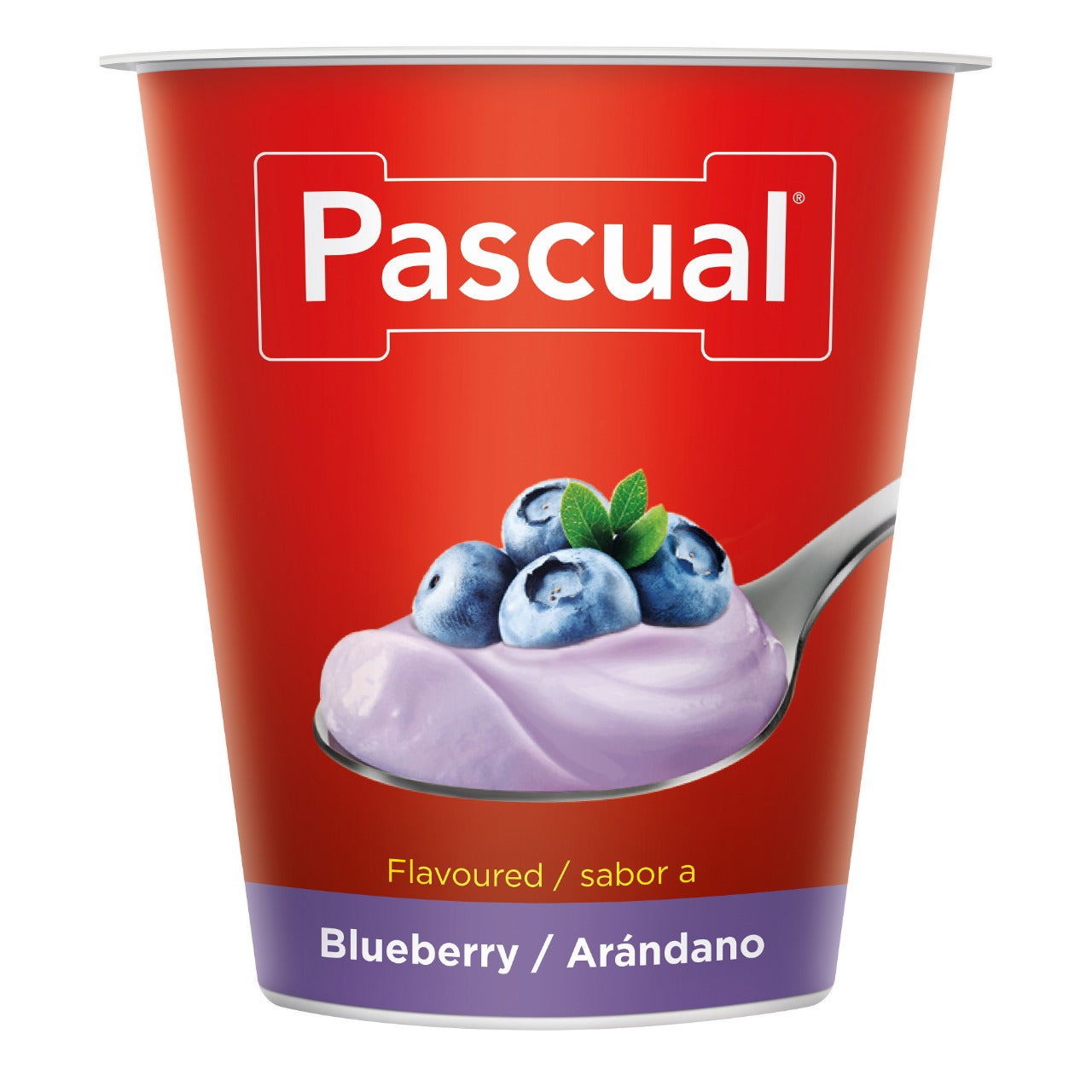 Pascual Yogurt Blueberry Flavor 125g Spain