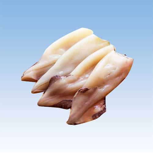 Cuttlefish Tube 500g~1kg Natural Caught